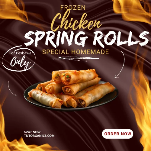 Chicken Vege Spring Rolls (2)